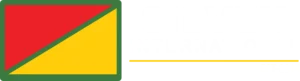 Silvex Logo