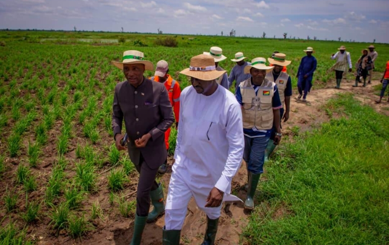 Learning visit by Liberian delegation under the Hon. Minister of Agriculture to Silvex farm estate in baranda, Jigawa State and Rice Mill in FCT to compare notes and transmit same strategies in the Republic of Liberia’s agricultural ecosystem