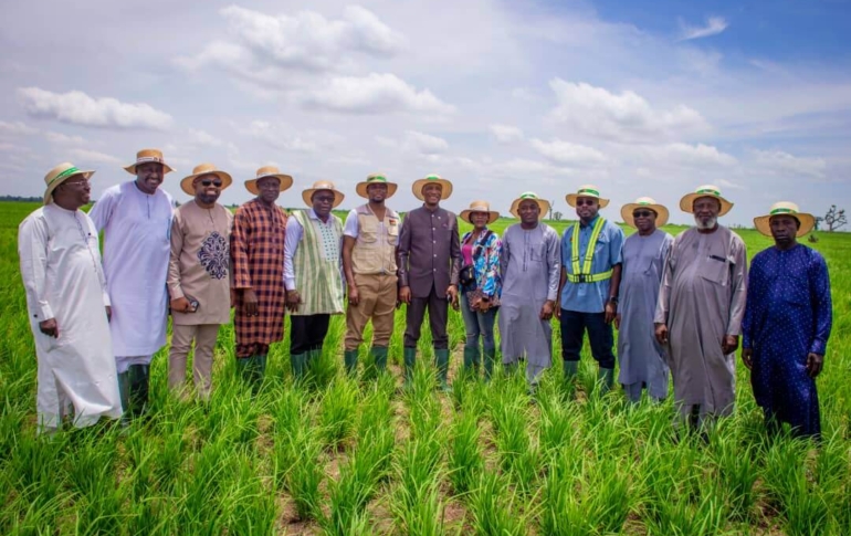 Learning visit by Liberian delegation under the Hon. Minister of Agriculture to Silvex farm estate in baranda, Jigawa State and Rice Mill in FCT to compare notes and transmit same strategies in the Republic of Liberia’s agricultural ecosystem